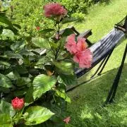Flower★発送ゆっくりです★の画像