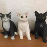 tokicoの画像