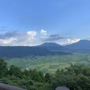ゆき