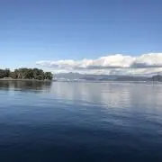 neの画像