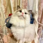 ThunderWの画像