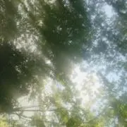 おとの画像