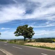 なみきの画像