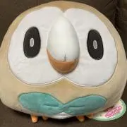 EX大使の画像