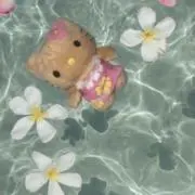 kitty♡の画像