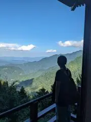 ひまわりの画像