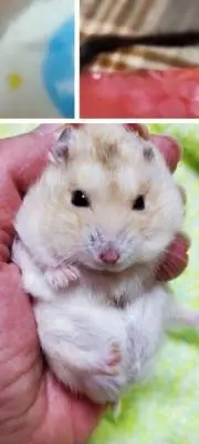 ひろてぃ～
