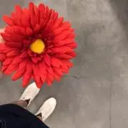 pon☺︎の画像