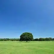 nr101の画像