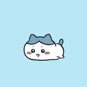 ぴこの画像