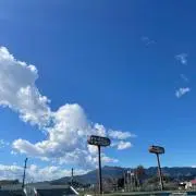 およこの画像