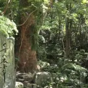 gaṇeśaの画像