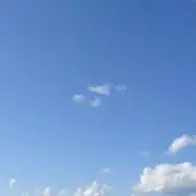 けんの画像