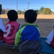 まめちゃんの画像