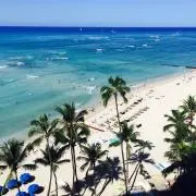 AI24の画像