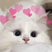 らら☆プロフィール必須の画像