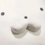 ゆきまるの画像