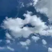 moku56の画像