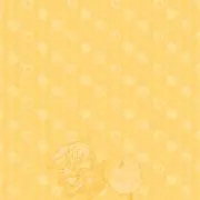 セロリの画像