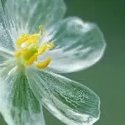 hossy80の画像