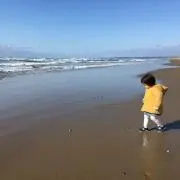 Isoccoの画像