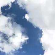 ぷあの画像