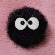 がじゅの画像