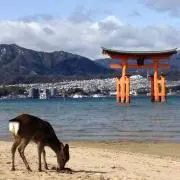 カルボナーラ戦士