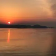 タカ