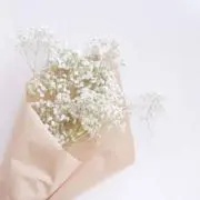 na-sa*°の画像