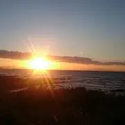 きいの画像