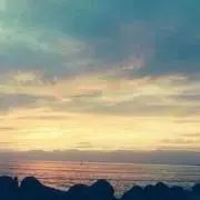 もん太郎の画像