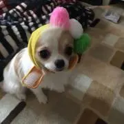ゆんゆん