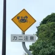 takemaru