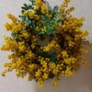 はる