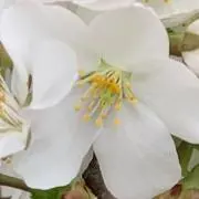 27の画像
