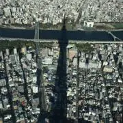 ぱちこの画像