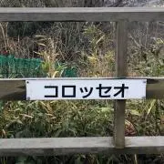 193の画像