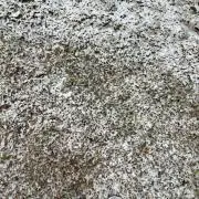 がーど