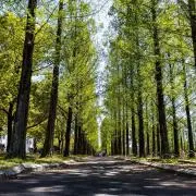 1999の画像