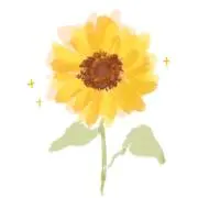ひまわり※希望価格登録せずにお願いの画像