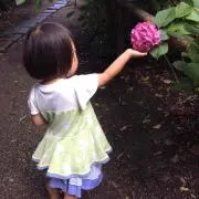 かりー