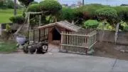シロギス