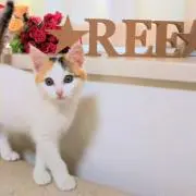 ☆REE☆