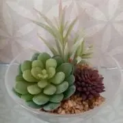 Kの画像