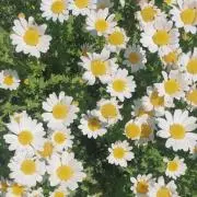 a【購入前にプロフィールご確認ください】の画像
