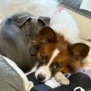 こうしろう