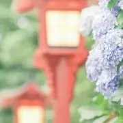 アーデルハイトの画像