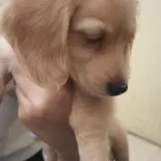 Nanaの画像