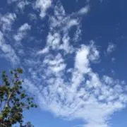 yorirn33の画像